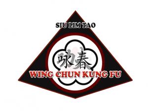 siu lim tao wing chun kung fu