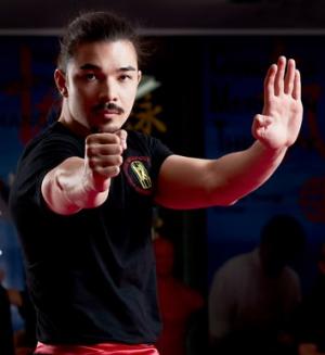 Stage avec Andrew Cheung – Wing Chun