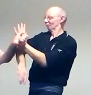 Sifu Mirsad Štrkonjić