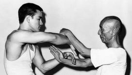 Wing Chun Chi Sau