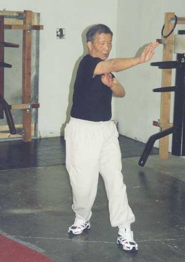 Ching ip Martial arts