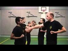 Embedded thumbnail for Wing Chun Kung Fu movements 