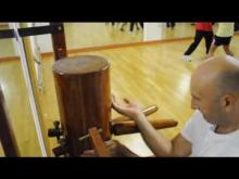 Embedded thumbnail for Ving Tsun Kung Fu Schweiz - Basel