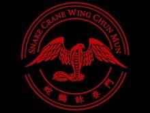Embedded thumbnail for Snake Crane Wing Chun big huen sao chi sao