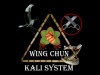 Wing Chun Kali System Houston, Tx
